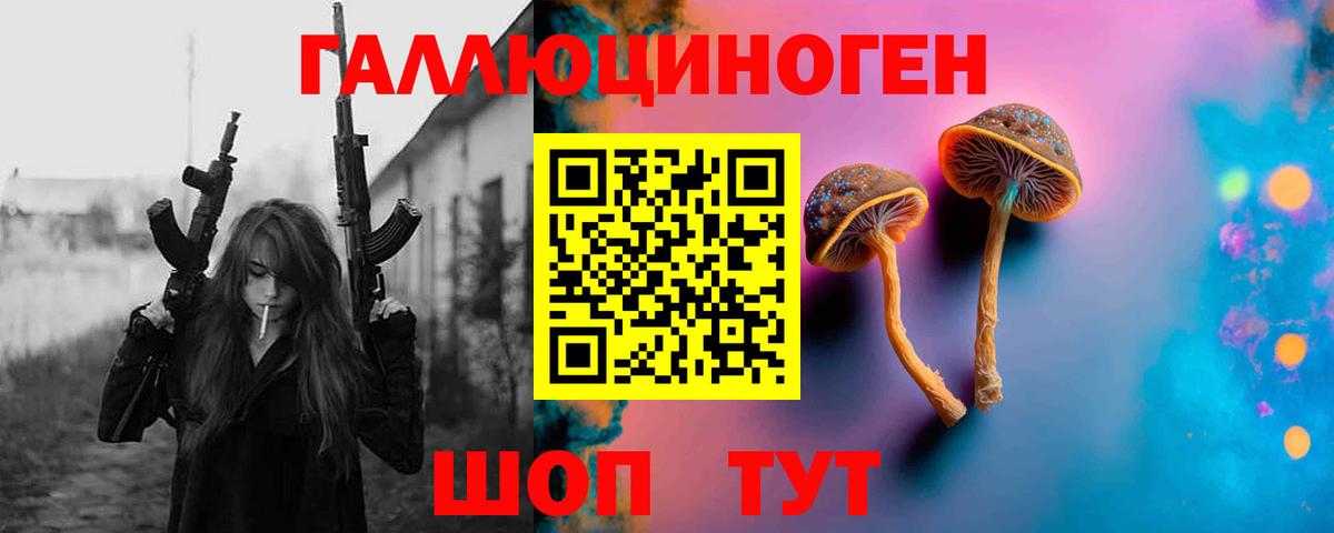 Галлюциногенные грибы Psilocybine cubensis Рыбинск